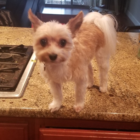 Meet your Posher, Kim - Picture 1 of 1